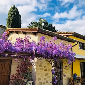 Il Cortile Delle Rose House Hébergement de vacances